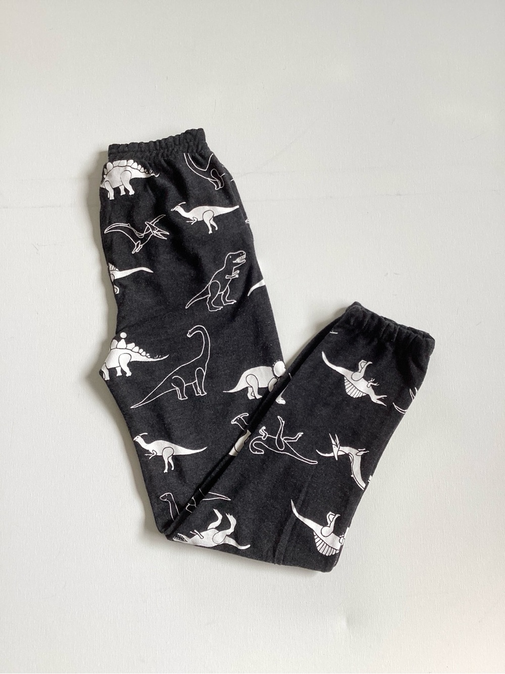 Chaser Dinosaur Jogger Sweatpants